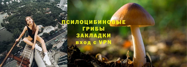 гашик Балабаново