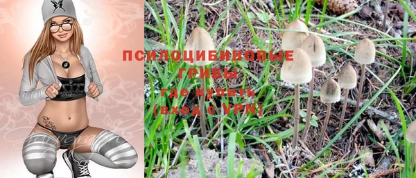 винт Балахна
