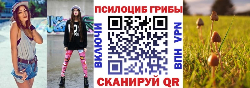 Купить закладки Порхов Галлюциногенные грибы прущие грибы
